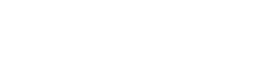 SimLLabs white wordmark